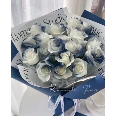 16 roses darkening