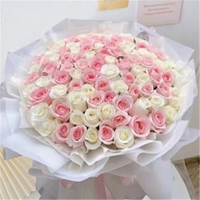 99 white & pink roses